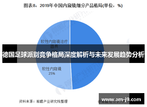 德国足球派别竞争格局深度解析与未来发展趋势分析