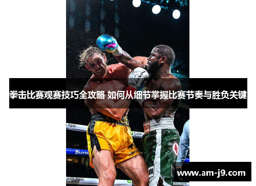 拳击比赛观赛技巧全攻略 如何从细节掌握比赛节奏与胜负关键