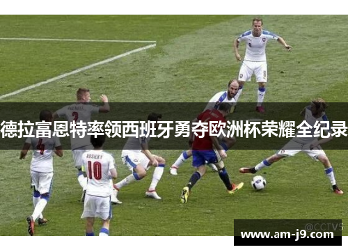德拉富恩特率领西班牙勇夺欧洲杯荣耀全纪录